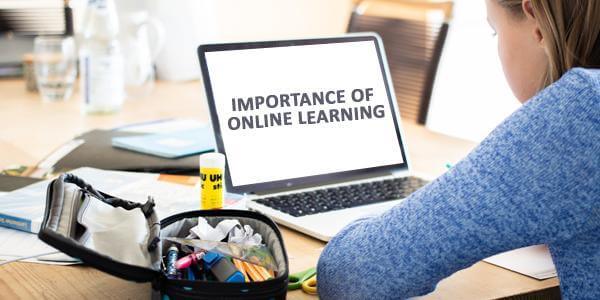 5 Interesting Facts About Online Learning - All Students to Know